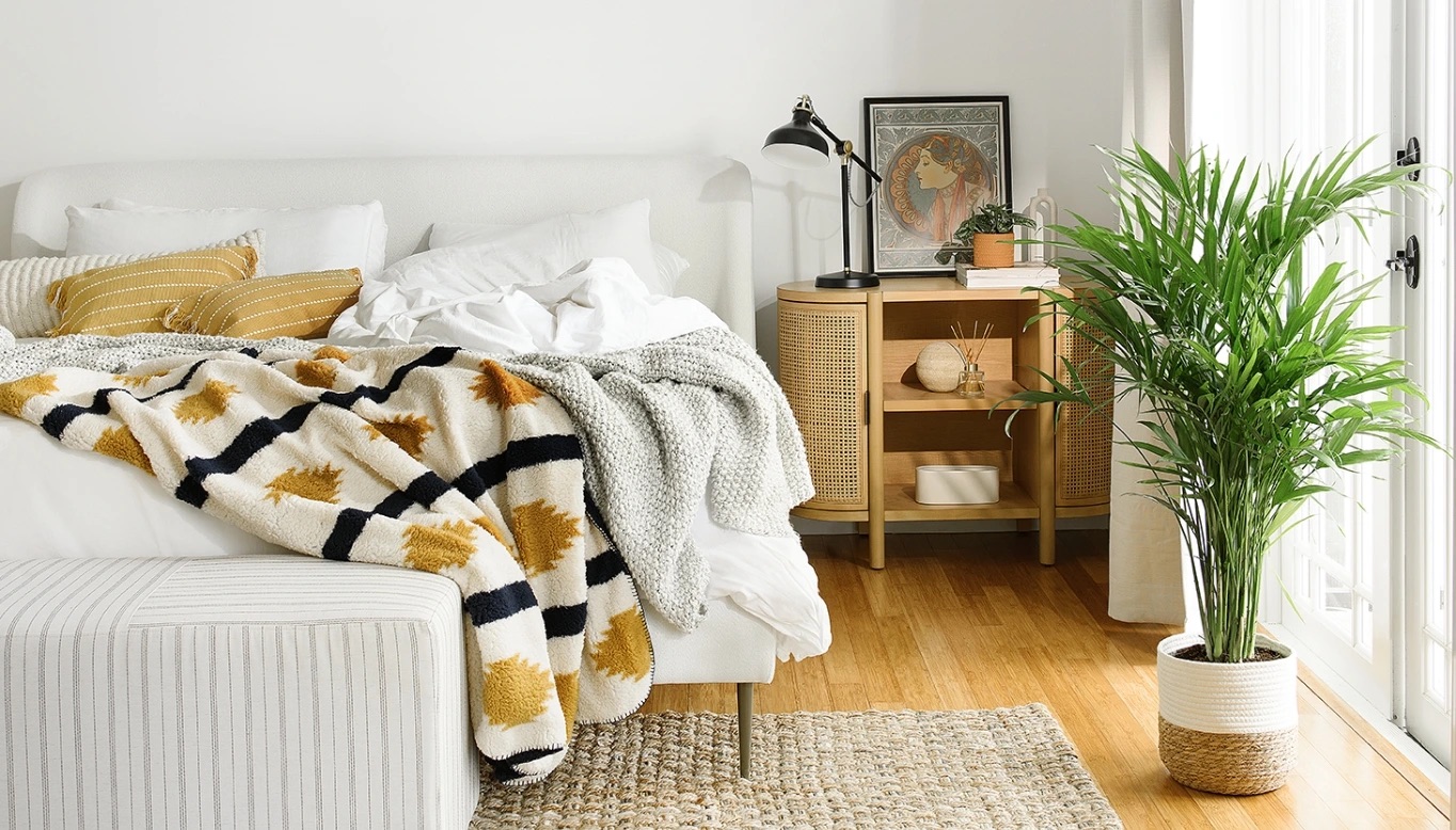 Bright bedroom interior styled with a lush houseplant, showcasing plants as part of modern home living