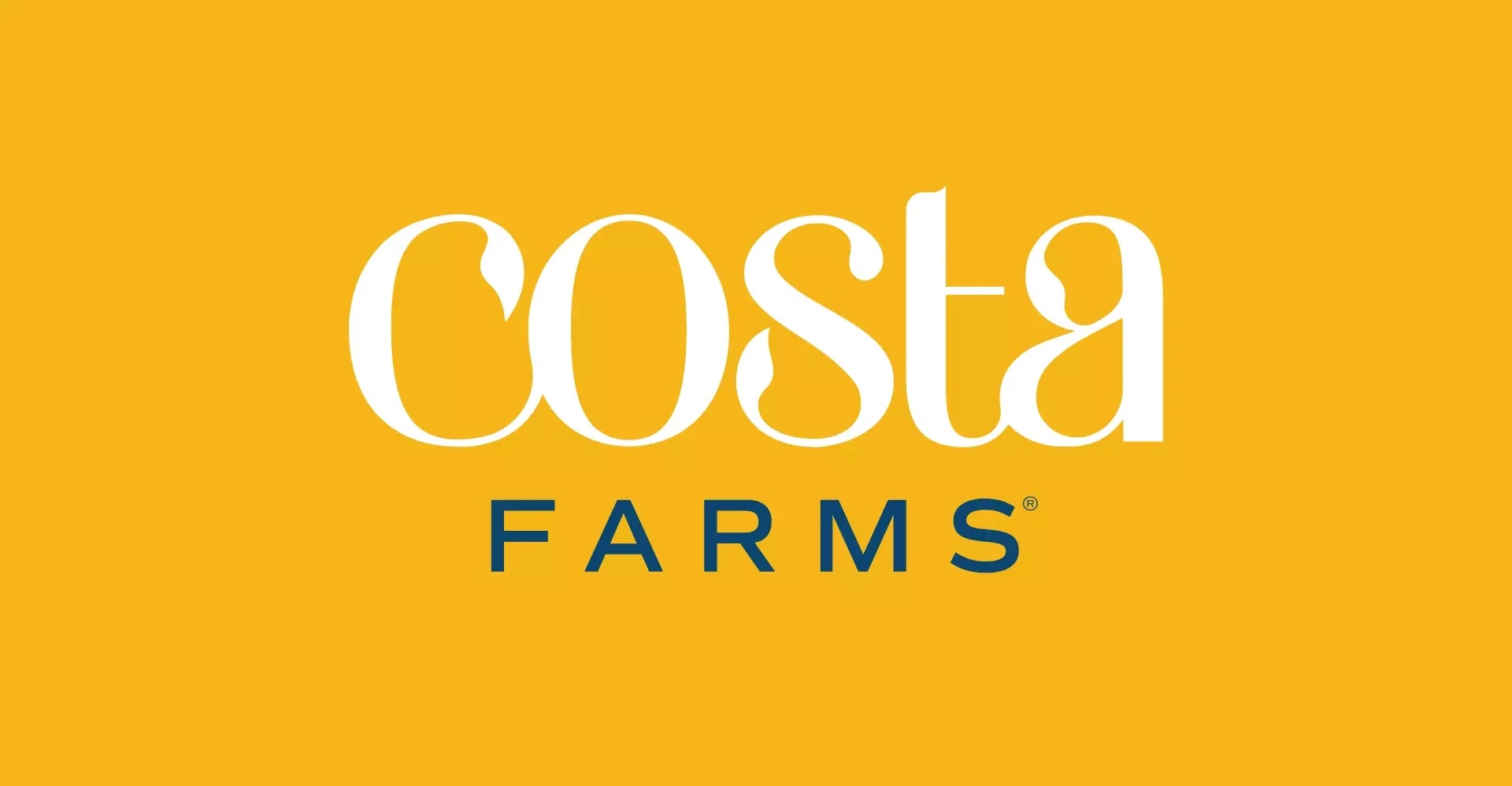 Costa Farms logo on yellow background, representing the brand identity and visual system developed with Agency Squid