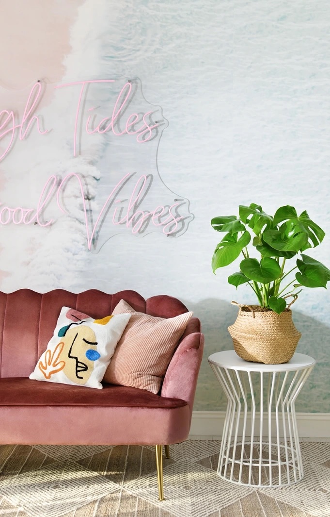 Stylish living space with a Costa Farms houseplant beside a sofa, showing plants as modern home lifestyle accents