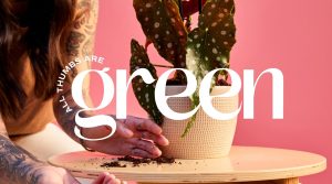 Hands repotting a houseplant in a textured planter against a pink backdrop, symbolizing modern indoor plant care