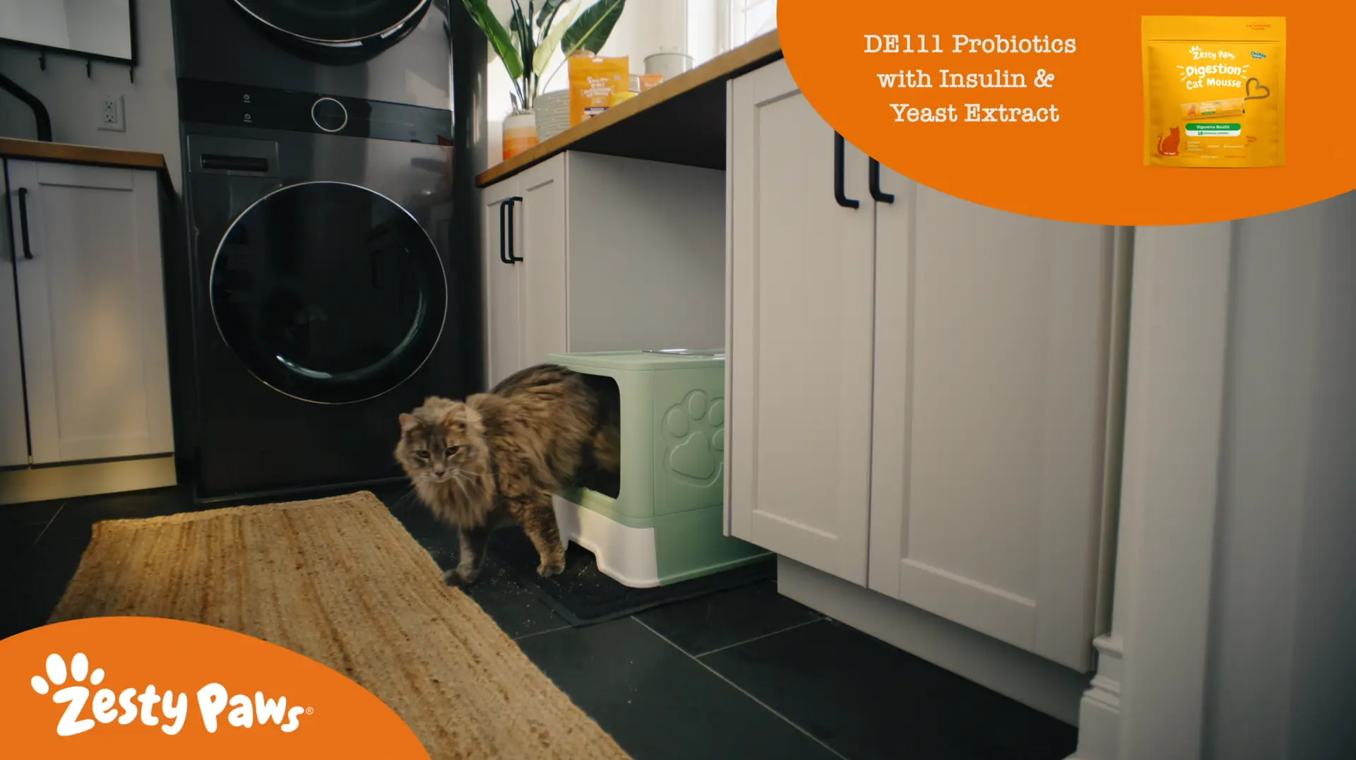 Cat exiting a litter box in a modern home, featuring Zesty Paws probiotics for digestive and gut health support
