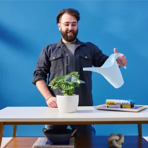 Marketing Indoor House Plants