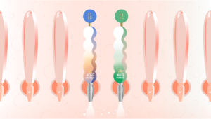 Wine tap handle illustrations with Libby logos - Non Alcohol Wine